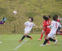 女足队员在比赛中发挥出色,为国争光的简单介绍